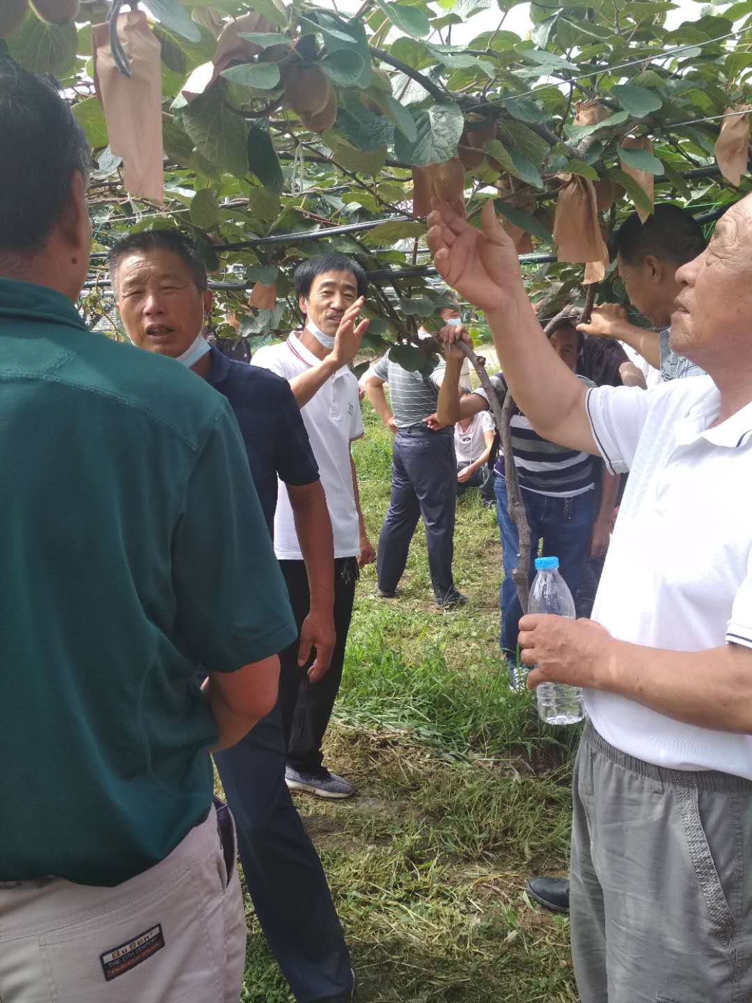 &#112;&#112;&#30005;&#23376;&#40;&#20013;&#22269;&#21306;&#41;&#23448;&#26041;&#32593;&#31449;